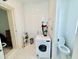 The Chuan (D19), Condominium #530926711